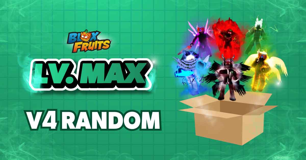 LV MAX + V4 RANDOM